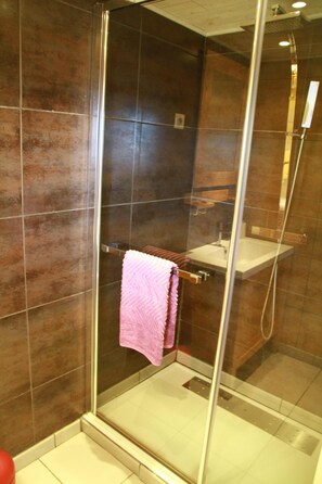 Shower, hair dryer, towels