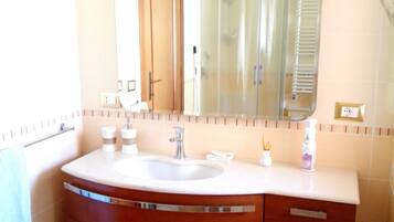 Shower, hair dryer, bidet, towels