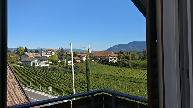 A view of a vineyard with rows of grapevines, buildings, and mountains in the background. - Sunny apartment in an ideal location for active people, families, Genießer (Kaltern)