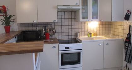 Au pied de la Cité, grand appartement de charme: 2 terrasses, garage privé, WIFI