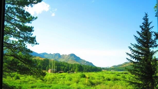 Une vue d’un paysage verdoyant et luxuriant, avec des montagnes en arrière-plan, une clôture en bois au premier plan et un ciel bleu dégagé.