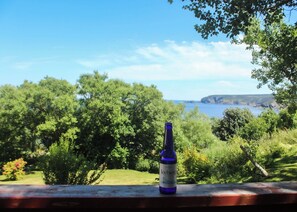 A bottle of Iceberg beer on a wooden ledge with a view of a coastal landscape.
