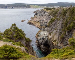 A coastal landscape with rocky cliffs, dense greenery, and a view of a distant town.