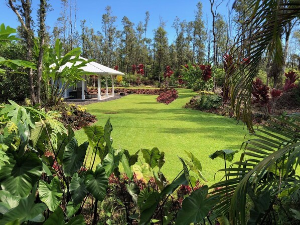 Stroll through the serene garden, surrounded by tall trees and lush tropical plants.