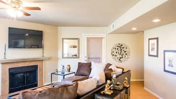 Smart TV, fireplace, books