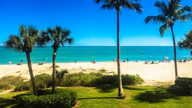 A beach with palm trees, clear blue sky, and the ocean. - E25 Direct Gulf Front is open!  Beautiful and new!  Saturday-Saturday (Sanibel)
