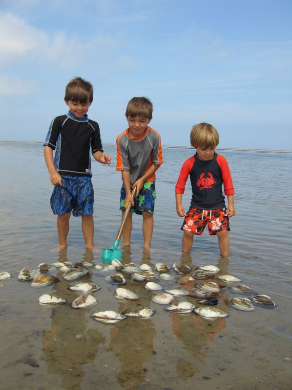 Three children collecting clams at the beach. - Brewster, Beach Cottage with 1/2 Mile of Private Asso. Beach for your Enjoyment. (Brewster)