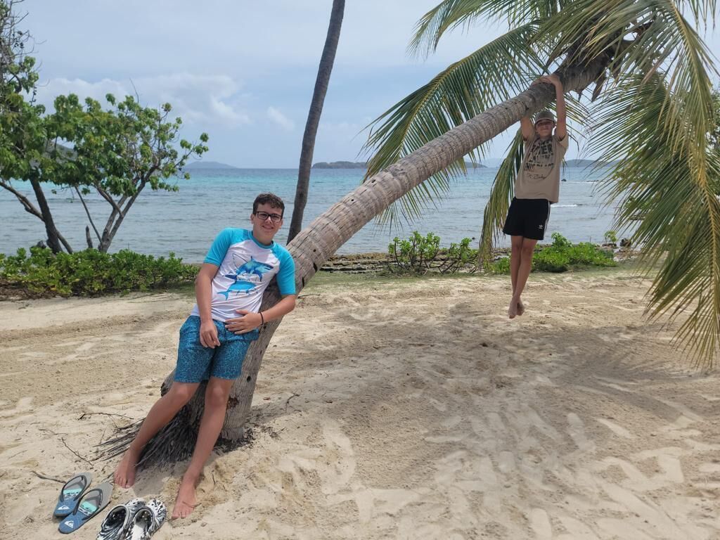 Cena de praia com uma pessoa sentada num tronco de árvore, outra pessoa a escalar uma palmeira e um par de chinelos na areia.