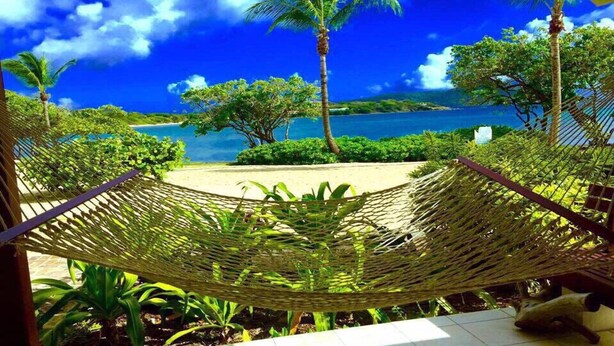Una hamaca en un entorno tropical con vista a una playa y al océano.