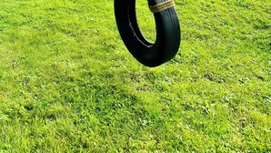 A grassy area with a tire swing, a red chair, and a lake in the background. - Experience the charm of a rustic lakefront cottage, perfect for year-round fun! (Constantia)