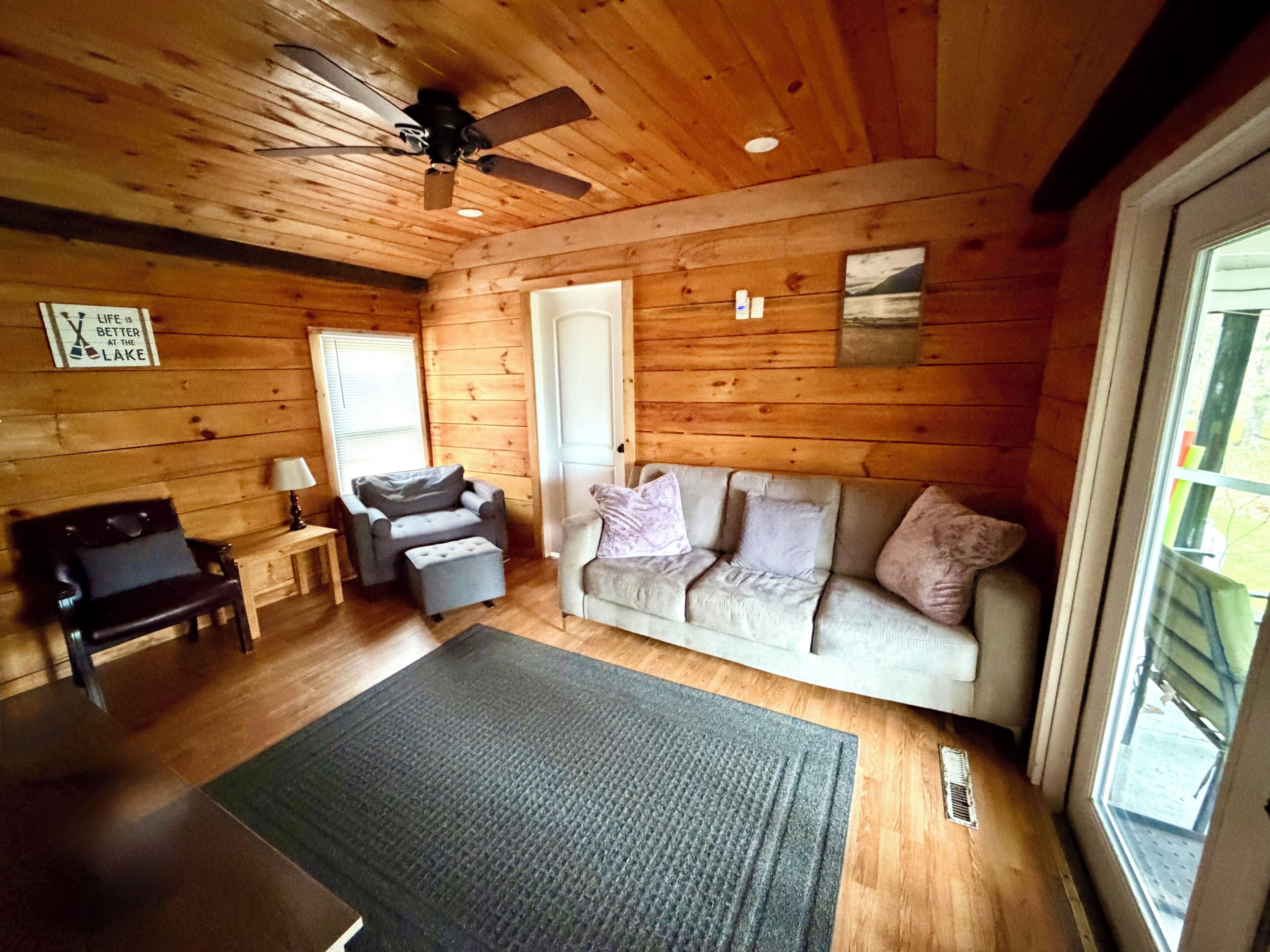 TV, fireplace, books, video library