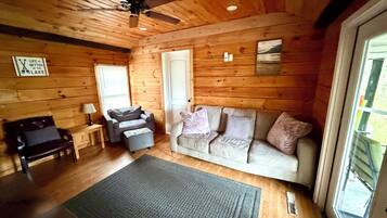 TV, fireplace, books, video library