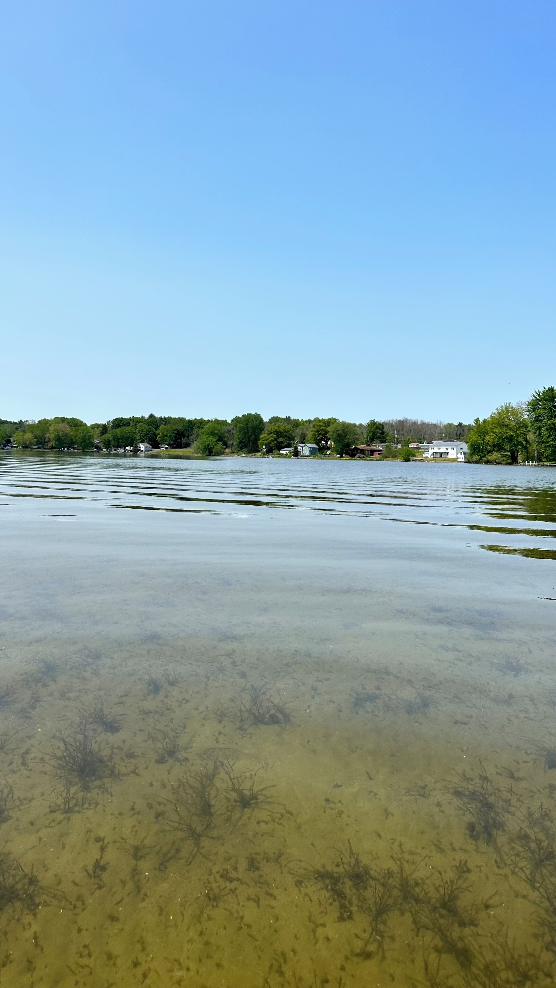 Un lago de aguas cristalinas, rodeado de árboles y casas.
