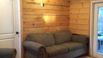 电视、壁炉、书、影片库