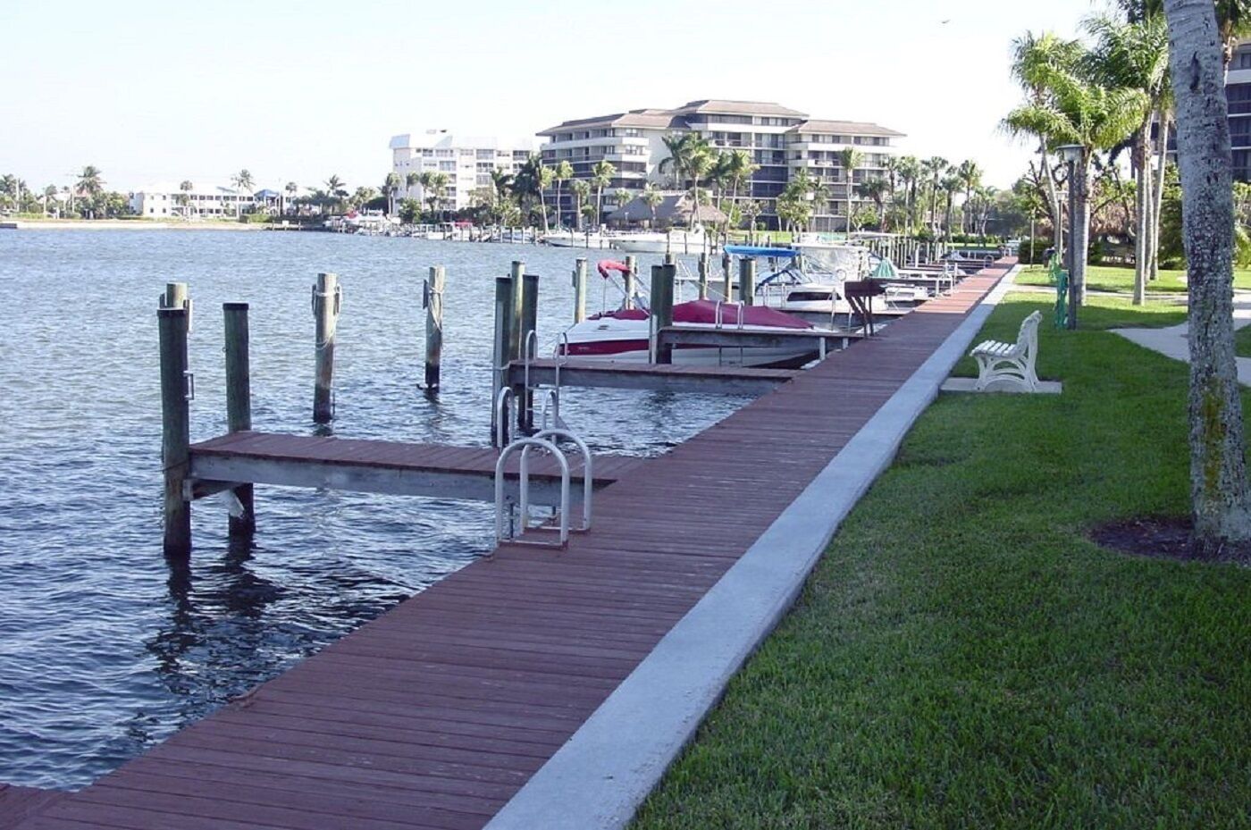A wooden dock extending into calm water, with a grassy area and palm trees on the right.