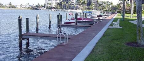 A wooden dock extending into calm water, with a grassy area and palm trees on the right.