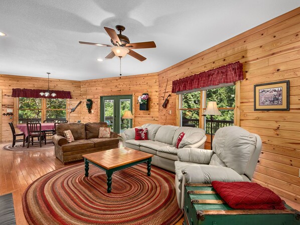 TV, fireplace, DVD player, books