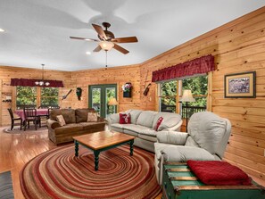 TV, fireplace, DVD player, books