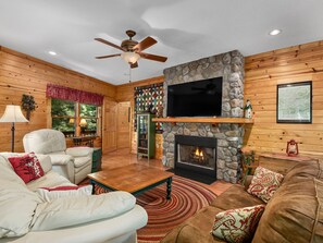 TV, fireplace, DVD player, books