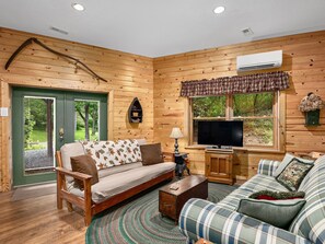 TV, fireplace, DVD player, books