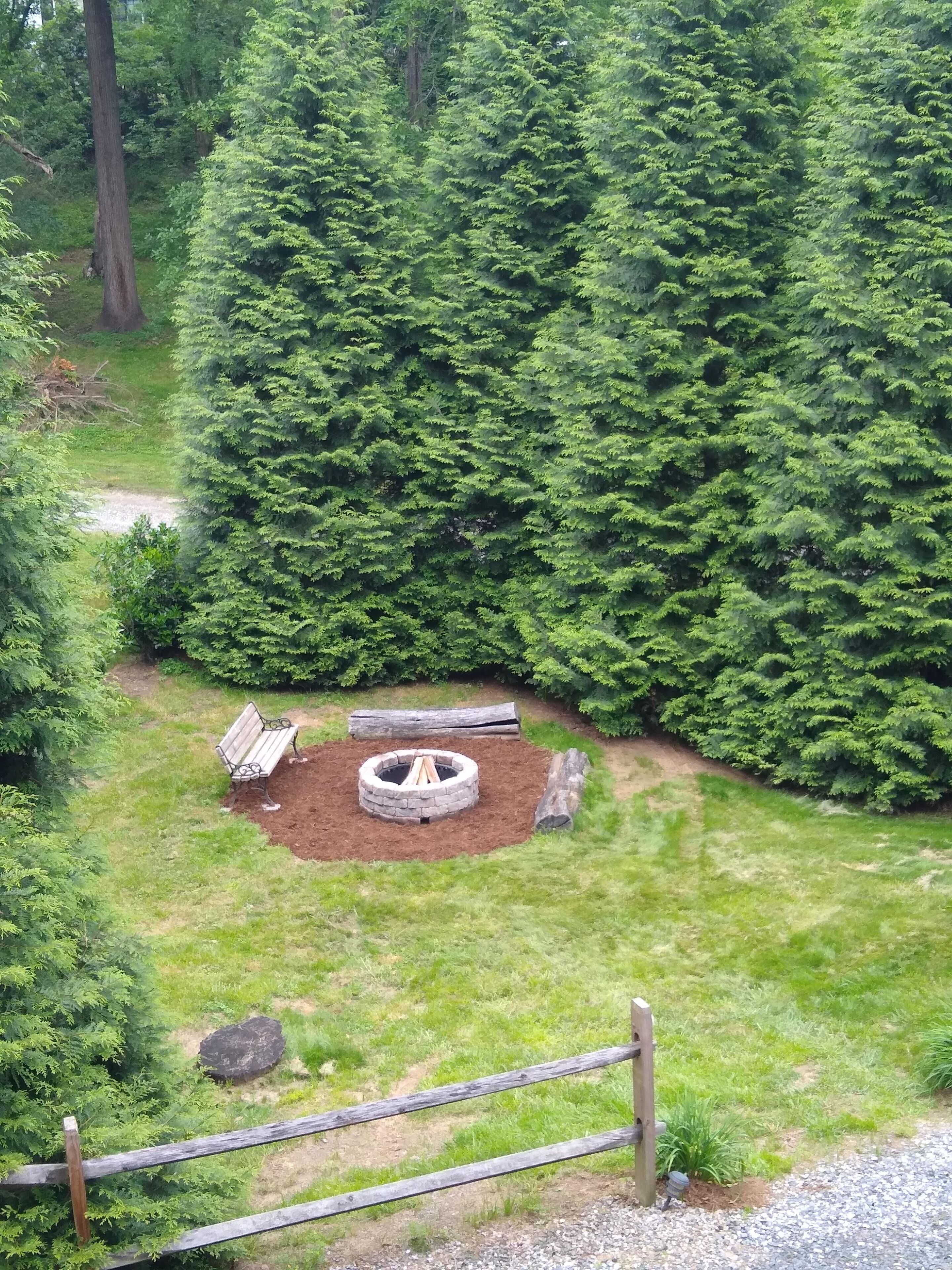 A forested area with a circular fire pit, a bench, and a wooden fence.