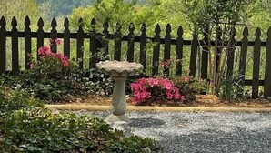 Un jardí amb una bassa de pedra per a ocells, una tanca de fusta i vista cap a les colines llunyanes.