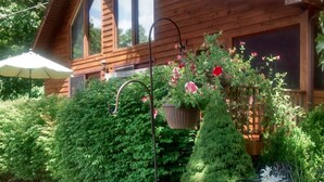 A wooden cabin with a large window, surrounded by lush greenery and a gravel driveway.