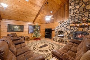 Televisión, chimenea, videojuegos y reproductor de DVD 