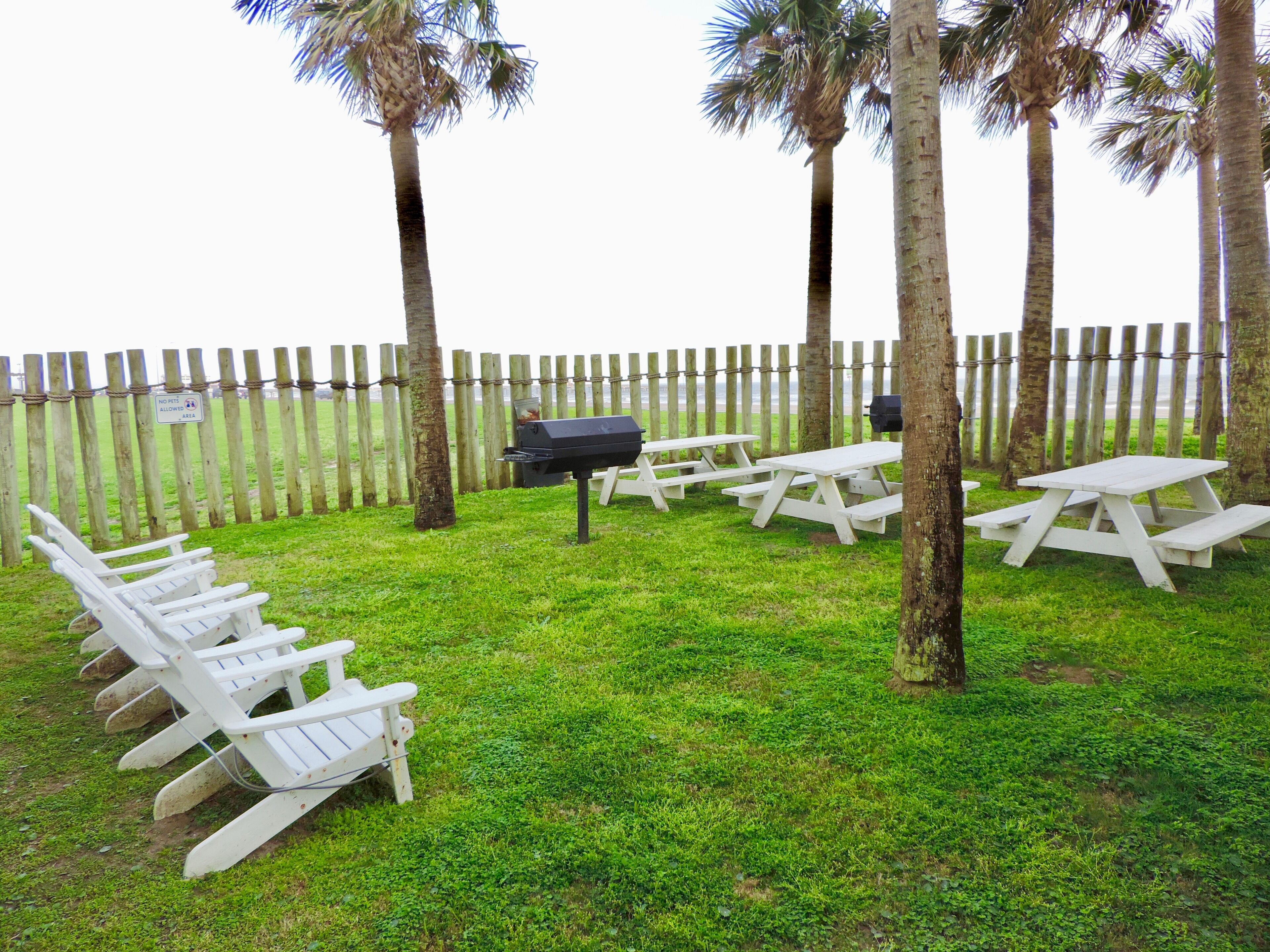 A grassy outdoor area with white picnic tables and chairs, a barbecue grill, and a wooden fence.