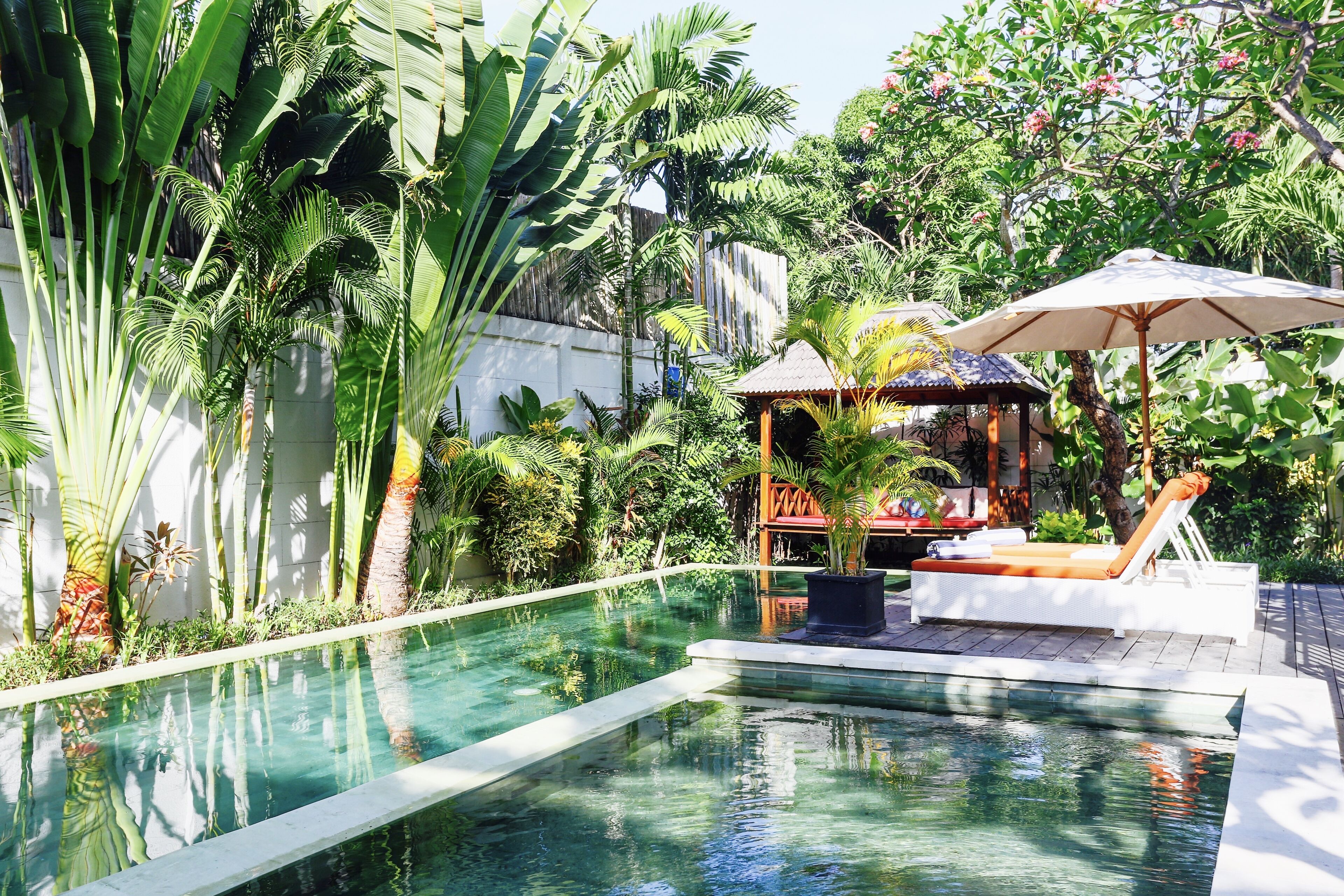 Outdoor pool, a lap pool