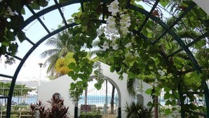 Une serre dotée d’un toit en verre, de murs blancs et de différentes plantes.