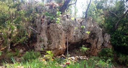 Your dream slice of French delight in the alluring Provence, Villa Margaux