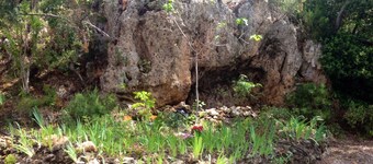 Your dream slice of French delight in the alluring Provence, Villa Margaux