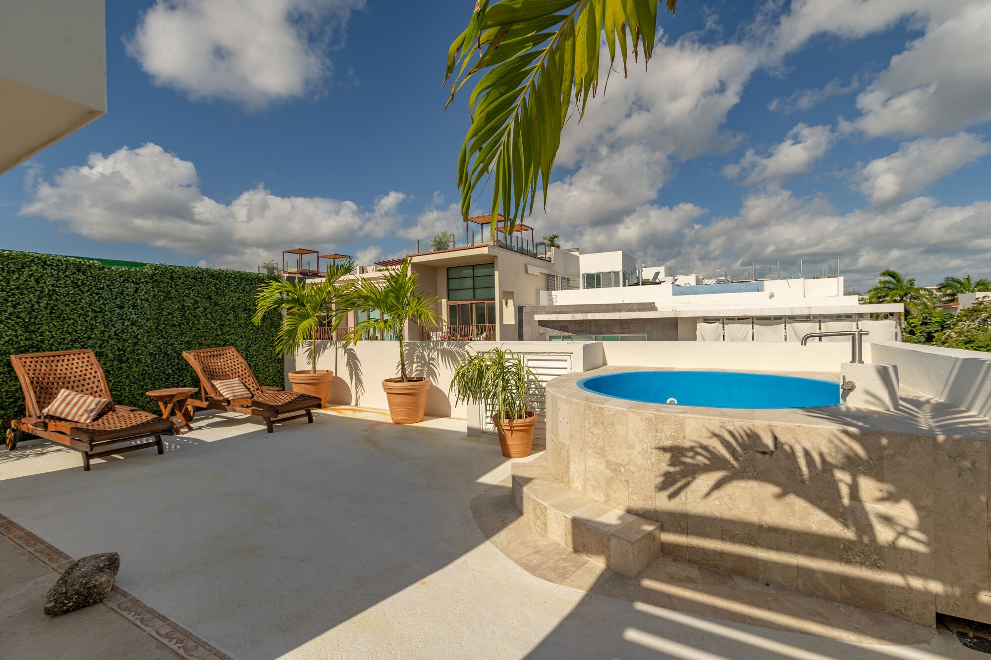 テラス / パティオ