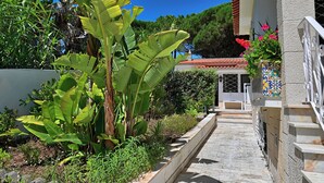 A pathway leading to a building with a tiled roof, surrounded by lush greenery and a clear blue sky.