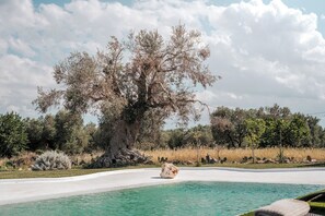Pool - White Stone House 6+1, Emma Villas (Ostuni)