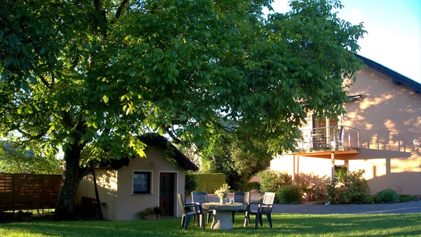 Un jardin avec une table et des chaises, entouré d’un grand arbre et d’une maison.