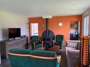 Una Smart TV, una chimenea, un reproductor de DVD, libros