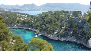A coastal landscape with rocky cliffs, dense green trees, and clear turquoise waters.
