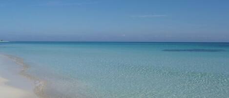 En la playa, camastros y toallas de playa