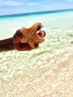 En la playa, camastros y toallas de playa 