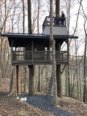 Property grounds - Caspian Cottage - Secluded log cabin on 150 acres (Springfield)