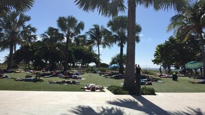 Un parc avec des palmiers, des gens qui prennent un bain de soleil et un ciel bleu azur.