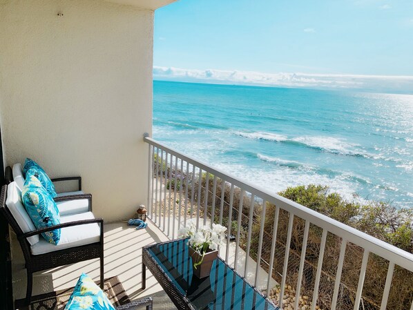 Property grounds - Sunset Cliffs Oceanfront Oasis, San Diego - Stunning Views & Ocean Sounds. (San Diego)