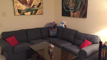 TV, DVD player, books, video library