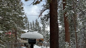 A snow-covered outdoor seating area with two Adirondack chairs and a table, surrounded by snow-laden trees and a fence.