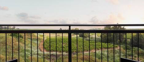 Un balcon donnant sur un paysage verdoyant et une ligne d’arbres à l’horizon.