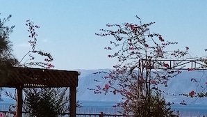 Un jardin en bord de mer agrémenté d’une pergola, d’une clôture en bois et offrant une vue sur la mer.