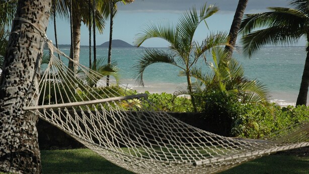 Un hamac est attaché à un arbre, d’où l’on a une vue sur une plage bordée de palmiers et sur une île lointaine.
