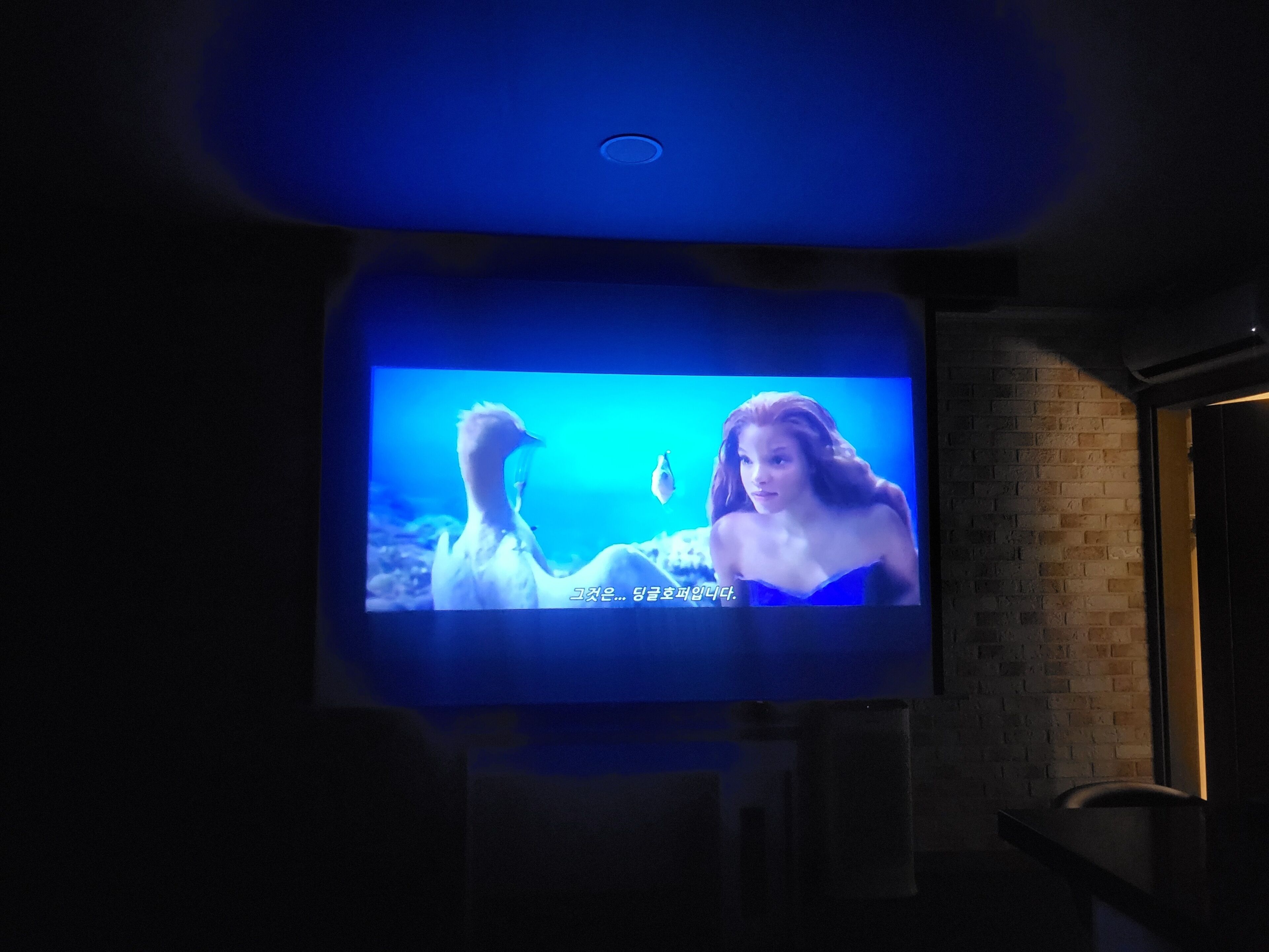 royal suite (cooking, netflix, styler, airpurifier) | room amenity